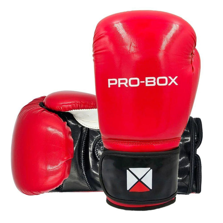 Pro Box Club Boxing Gloves